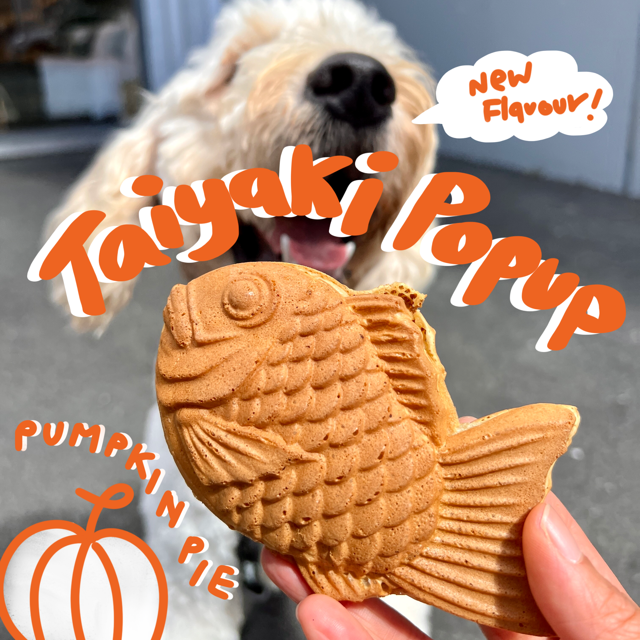 Taiyaki Pre-Order (6 Pack)